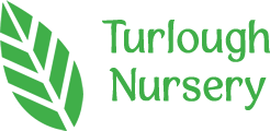 Turlough Nursery